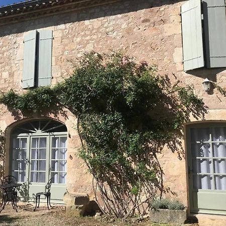 Domaine De La Durantie Duplex Vieux Chateau Castelnau-de-Montmiral Exteriör bild