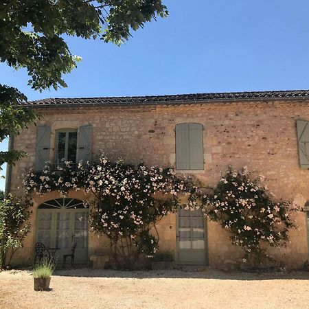 Domaine De La Durantie Duplex Vieux Chateau Castelnau-de-Montmiral Exteriör bild