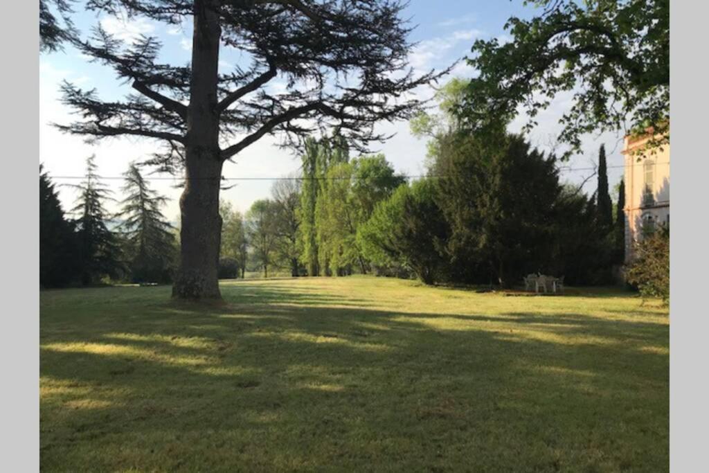 Domaine De La Durantie Duplex Vieux Chateau Castelnau-de-Montmiral Exteriör bild