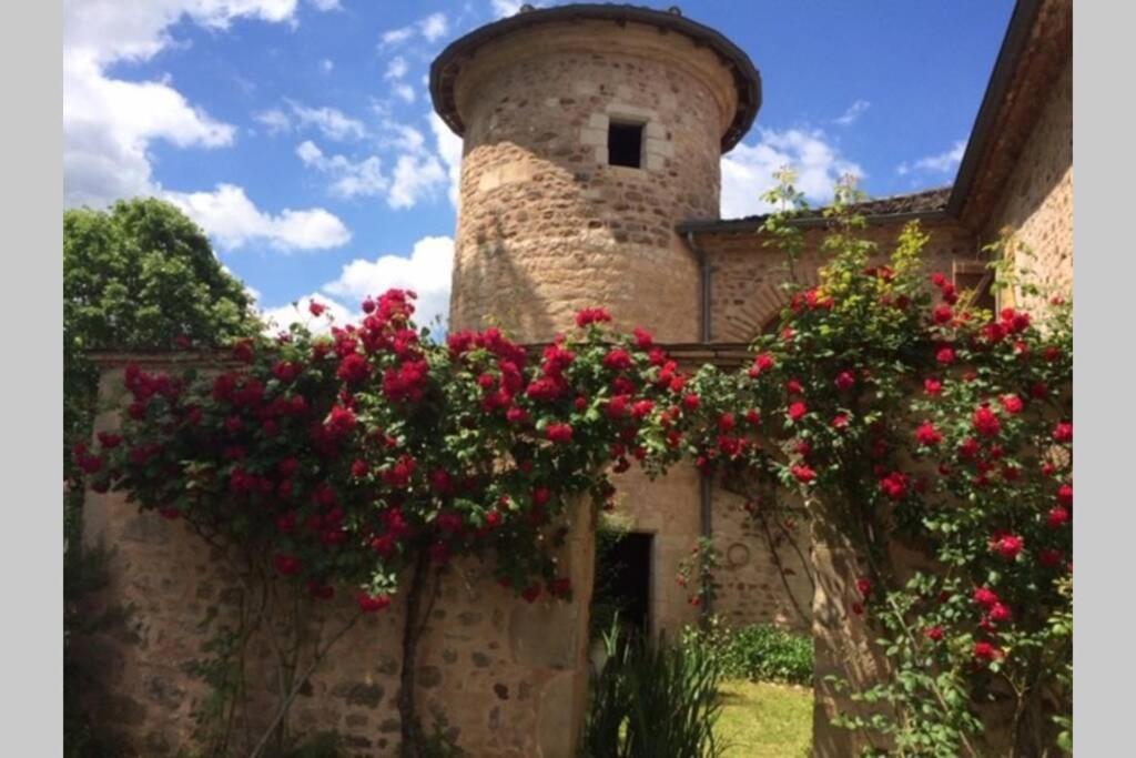 Domaine De La Durantie Duplex Vieux Chateau Castelnau-de-Montmiral Exteriör bild